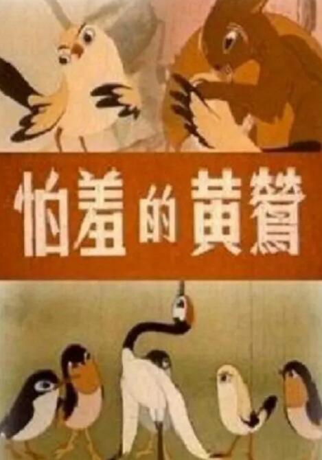 chinese东北体育生飞机