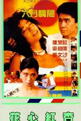 亚洲高清视频在线观看