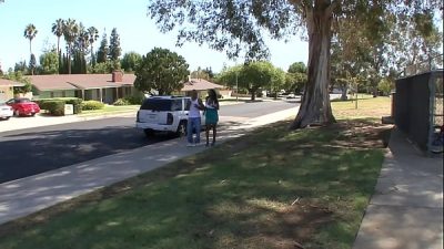 ebony pornvideo – Codi Bryant Has Some Black Adventures