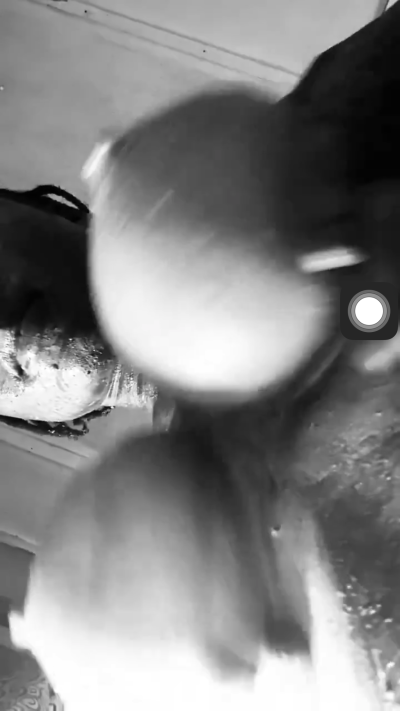 Trending Video Of Yaweh’s Tits